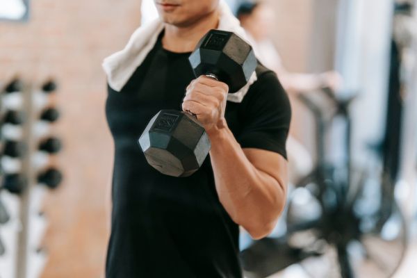 Gym workouts for muscle gain